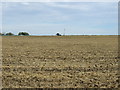 Farmland east of Bletsoe