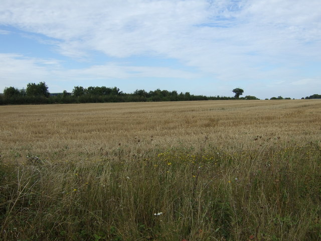 Farmland near Thurleigh