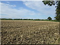 Farmland, Manor Farm