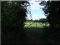 Field entrance off Cross End Lane