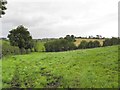 Rowan Townland