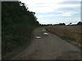 Farm road (bridleway) near Greensbury Farm