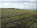 Farmland near Church End