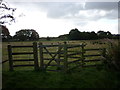 A kissing gate at Calley Heath Nature Reserve