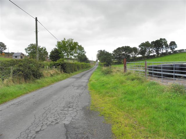 Road at Lisnagreeve © Kenneth Allen cc-by-sa/2.0 :: Geograph Ireland