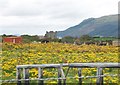 View across farmland towards Greencastle Royal Castle