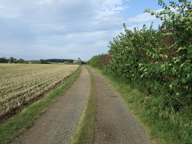 Farm track towards Bushmead Big Wood