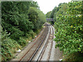 Railway south of Burton