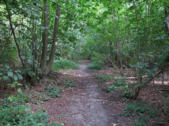 Path in White Post Wood