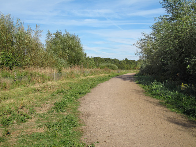 Path near newly planted coupe in Cely Woods