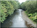 River Rhymney downstream from a footbridge, Bedwas