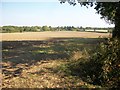 Farmland at Old Brun