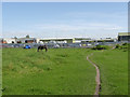 Open land off Telford Drive 