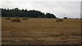 Oat straw, Mains of Stobhall