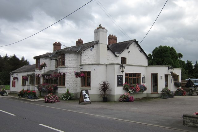 The Durham Heifer, Broxton © Jeff Buck cc-by-sa/2.0 :: Geograph Britain ...