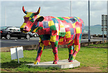 J3683 : Cow parade, Jordanstown by Albert Bridge