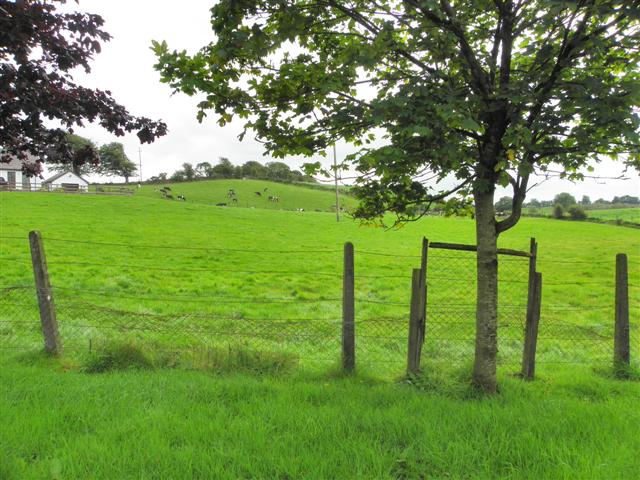 Donaghanie Townland