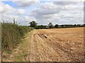 Footpath towards Burton Road