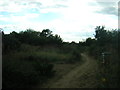 Whitehorse Meadow, South Norwood