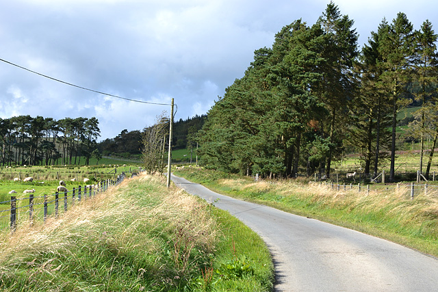 The road to Llidiartywaun