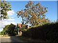 House on Woodhall Lane, Shenley