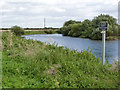 SK7856 : River Trent near South Muskham  by Alan Murray-Rust
