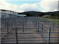 Pens at the Livestock market