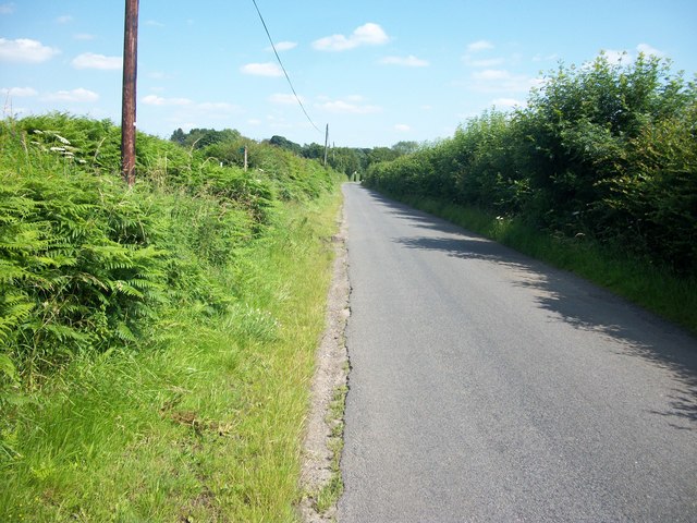 Bottom Road