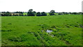 Pasture land near the Weaver