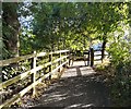 Exit from Trans Pennine Trail