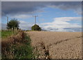 Fields near Holmlea Farm