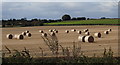 Field with bales by Green Arbour Road