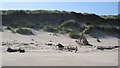 NU0447 : Cheswick Sands driftwood by Richard Webb