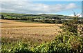 Fields at Greenan