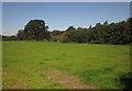 Field near Seighford Hall