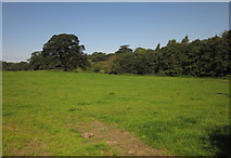 SJ8725 : Field near Seighford Hall by Derek Harper