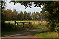 Sleightholme Dale Road approaching Common House