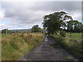 Pennine Bridleway near Deep Dale Wood