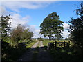 Brook Lane at Beggars Hill Plantation