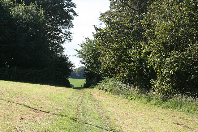 Kingswear: field path to Greenway