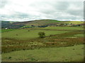 Field west of Brun Barn (1)