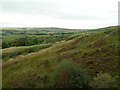 Slopes of Primrose Hill, Uppermill