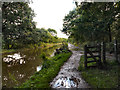 Macclesfield Canal. Middlewood