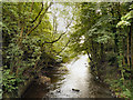 River Goyt, Torr Gorge