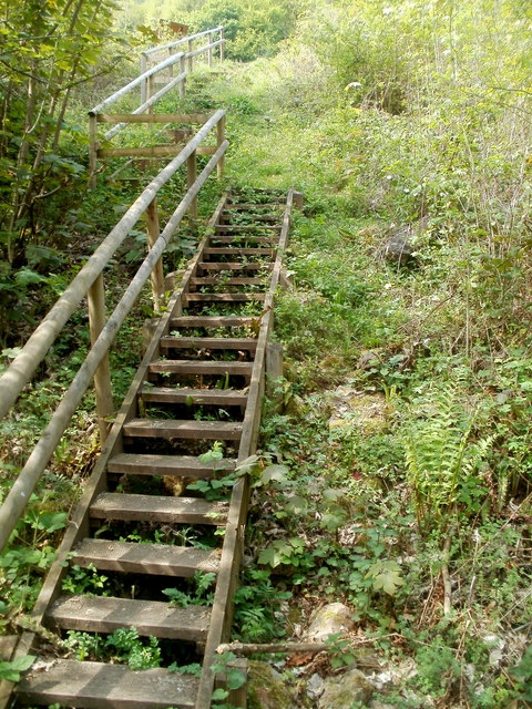 Wooden steps from the bank of the Wye to Dixton Embankment