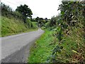 H6411 : Road at Cabragh by Kenneth  Allen