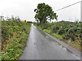 H6513 : Road at Carrickaderry by Kenneth  Allen