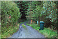 NS0497 : Forested entrance to Strone Farm by Steven Brown
