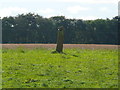 Standing stone near Westfield