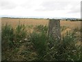 Scone Aerodrome triangulation pillar